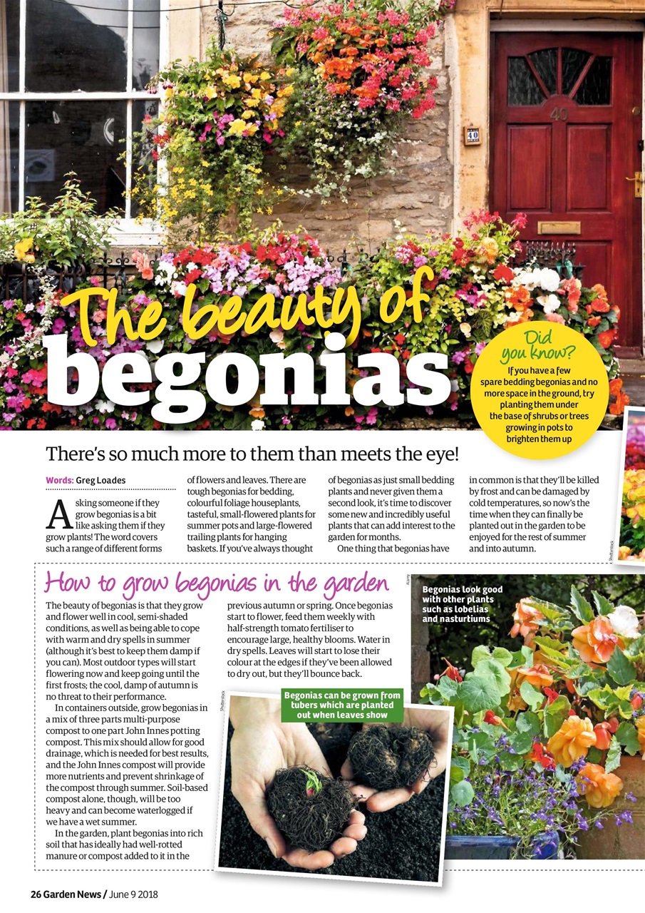 Garden News Preview Pages
