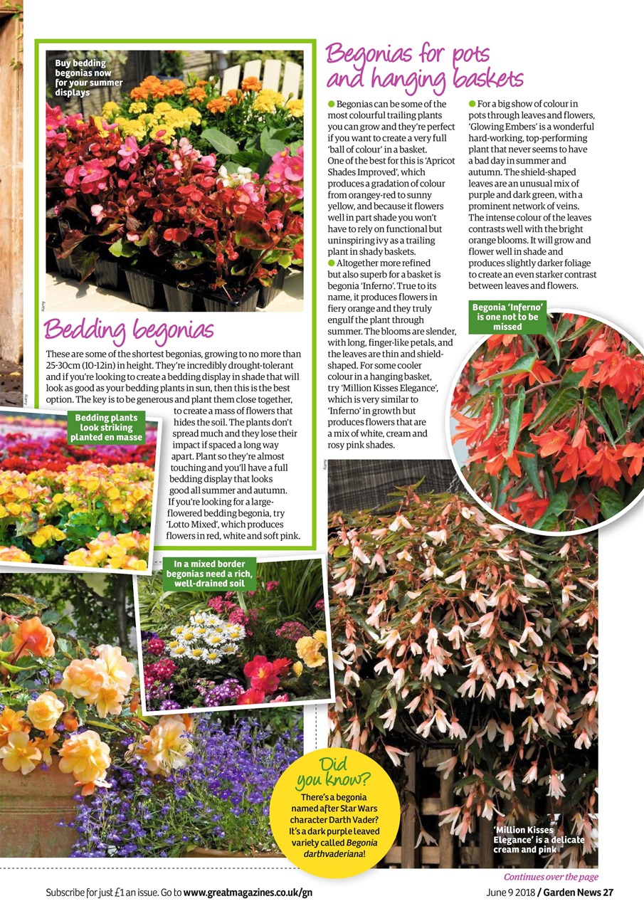 Garden News Preview Pages