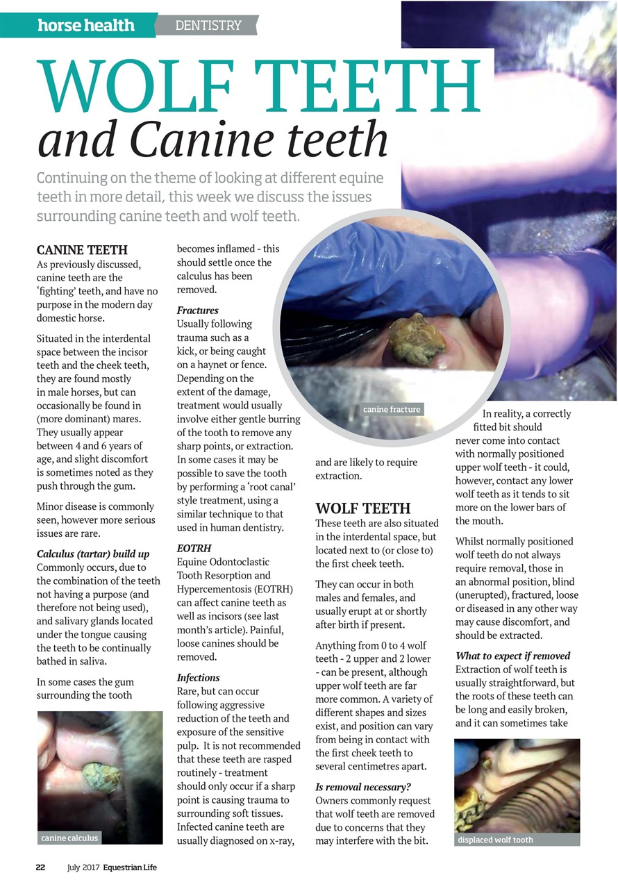 Equestrian Life Magazine Preview Pages