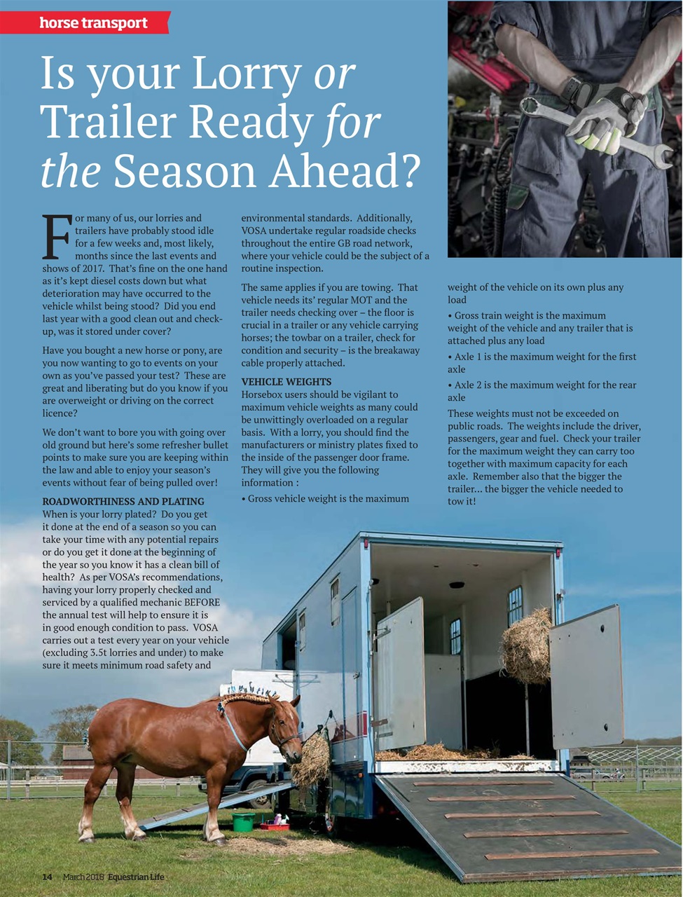 Equestrian Life Magazine Preview Pages