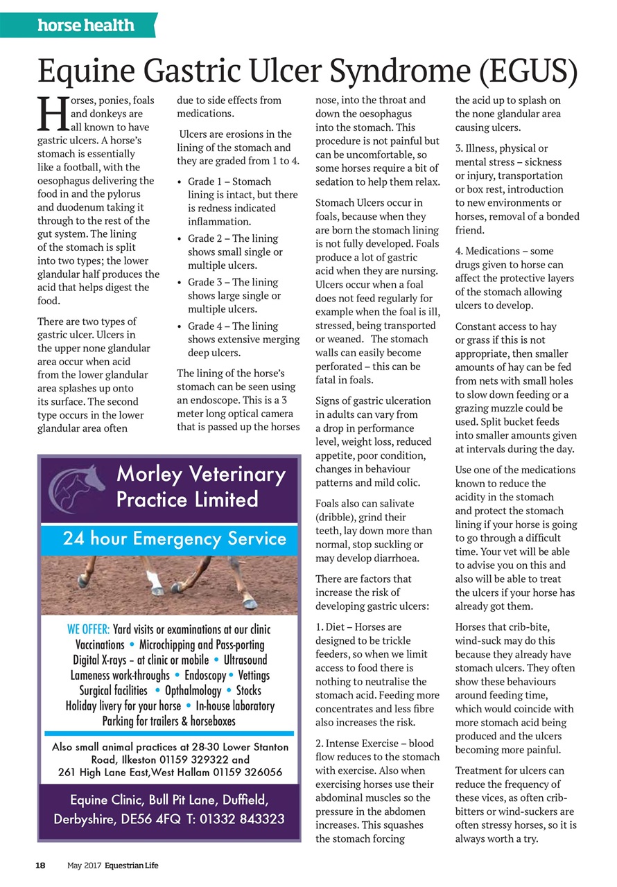 Equestrian Life Magazine Preview Pages