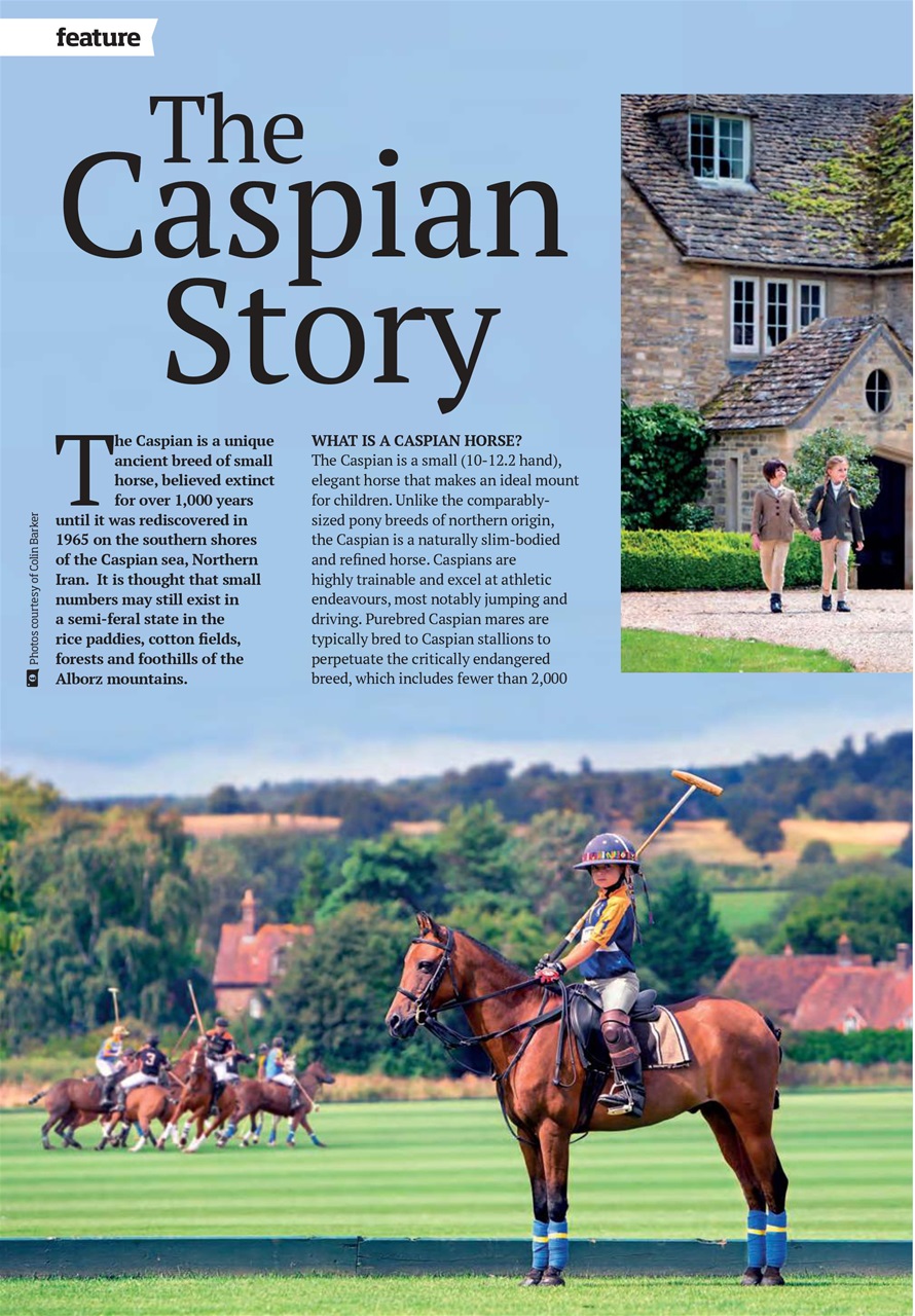 Equestrian Life Magazine Preview Pages