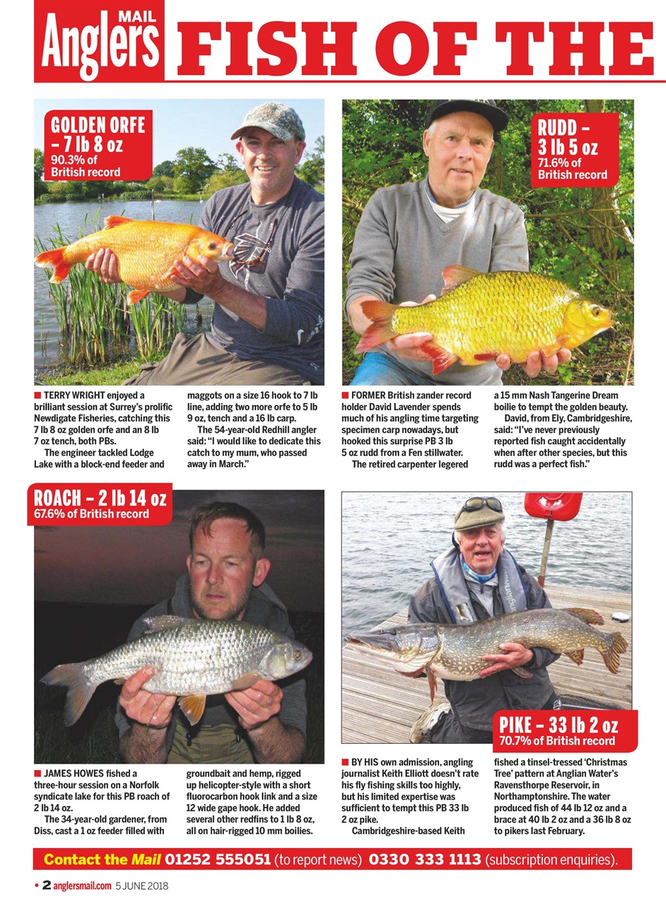 Anglers Mail Preview Pages