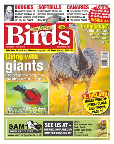 Cage & Aviary Birds issue 6th June 2018