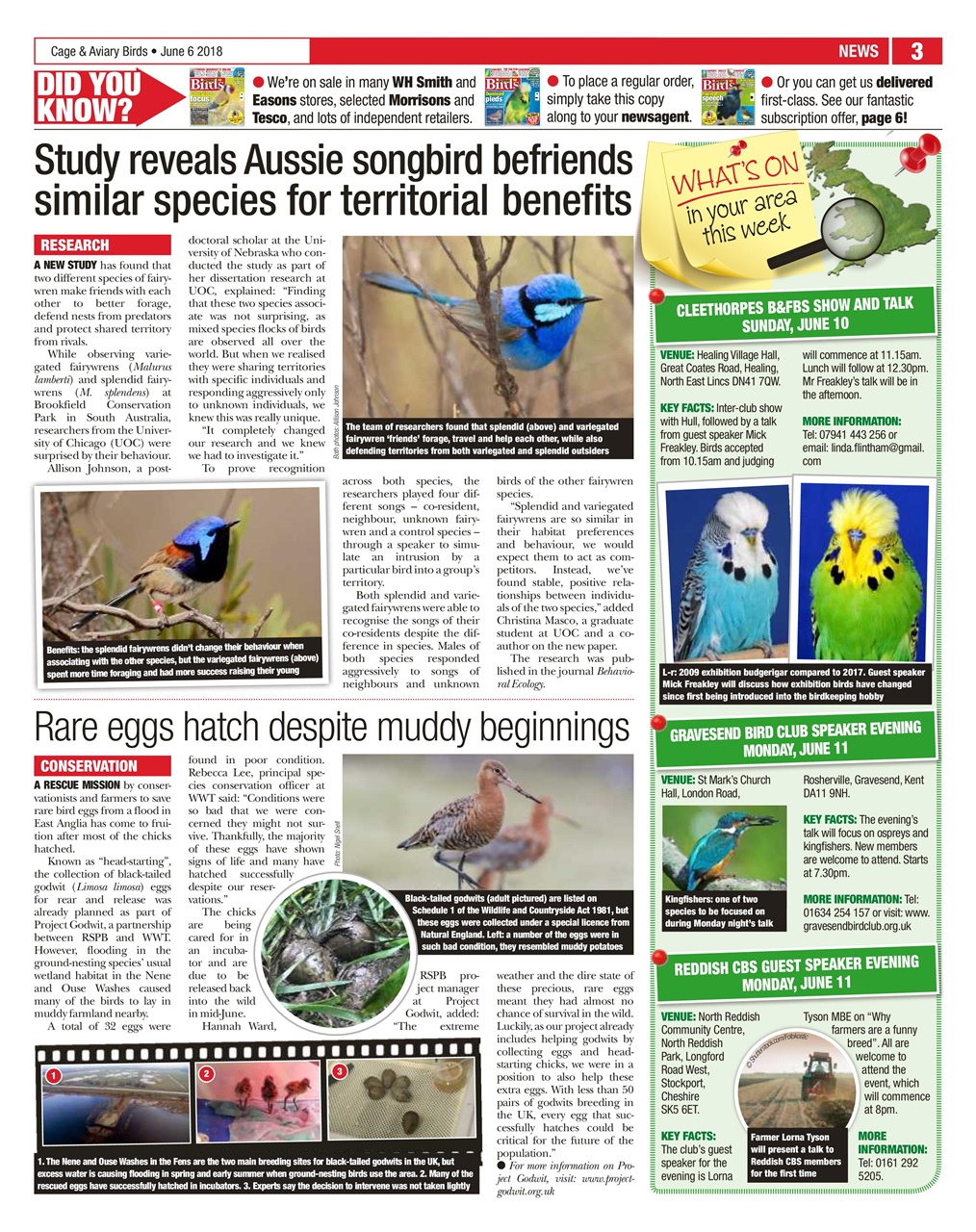 Cage & Aviary Birds Preview Pages