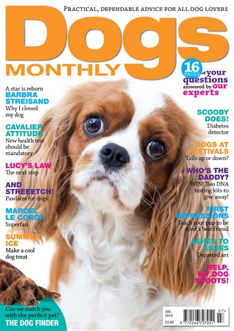 Dogs Monthly issue July 2018