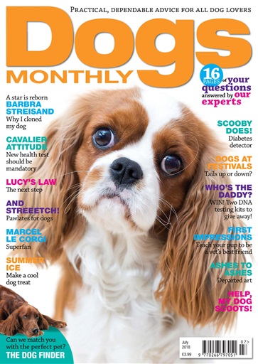 Dogs Monthly issue 