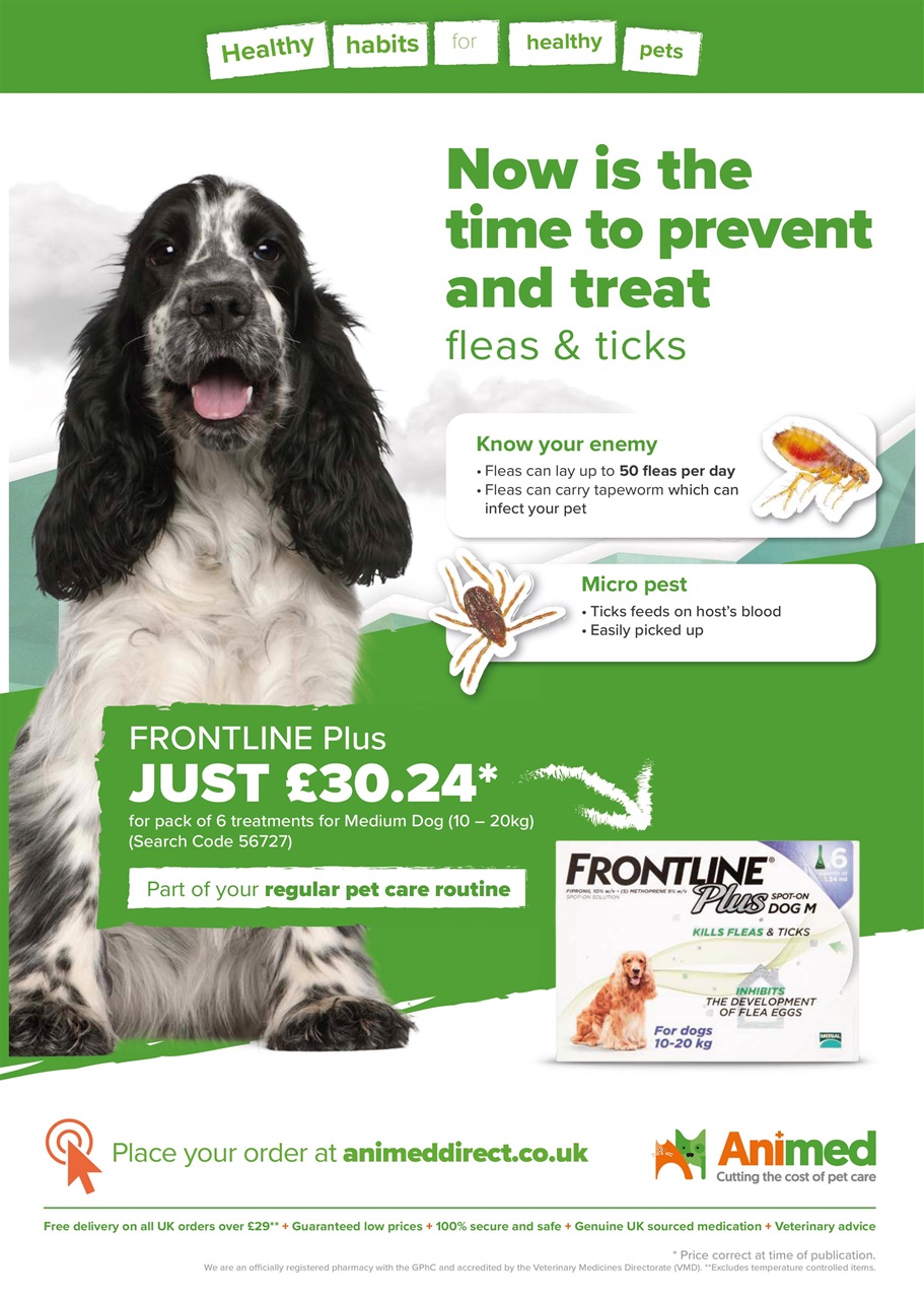 Dogs Monthly Preview Pages