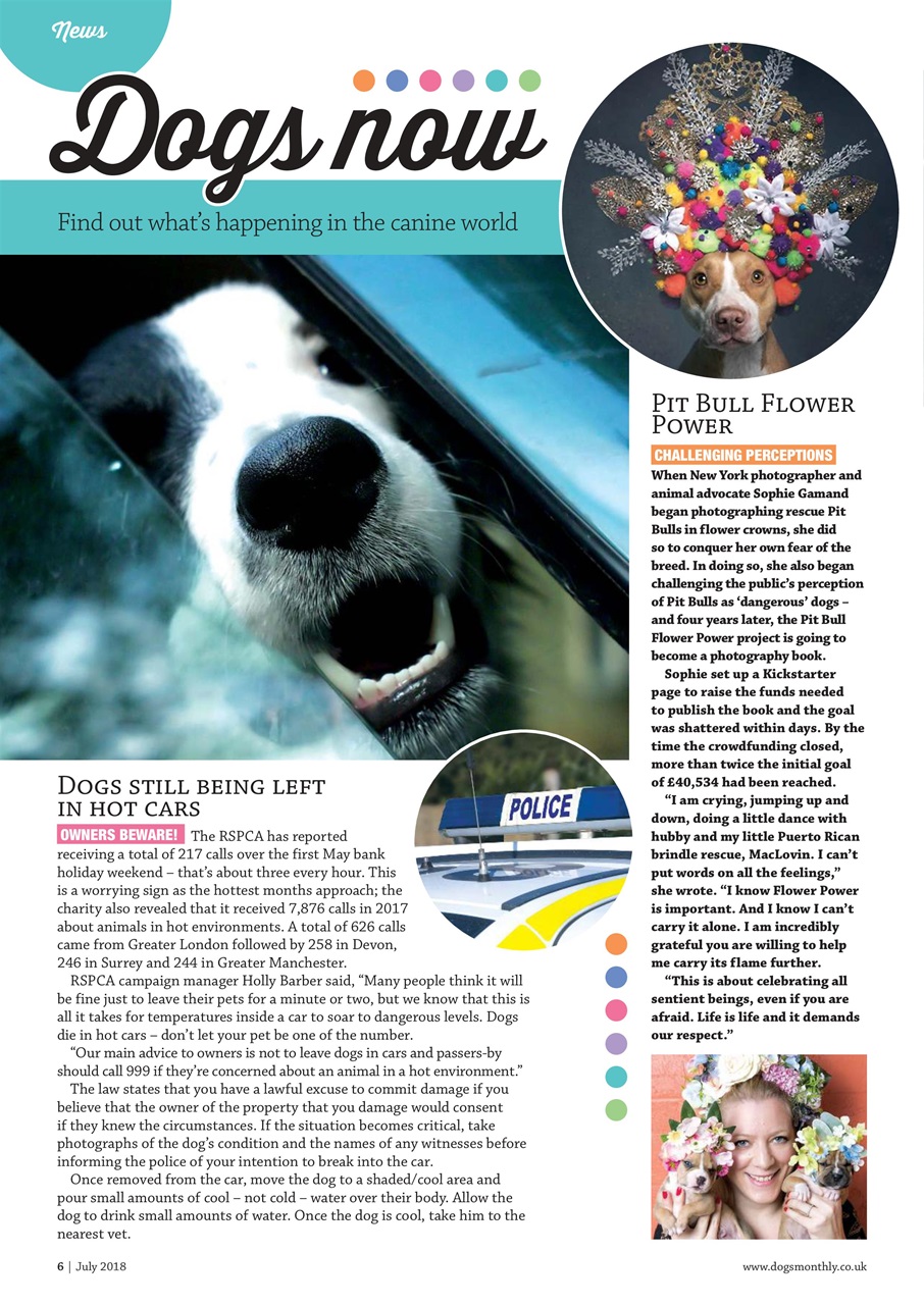 Dogs Monthly Preview Pages