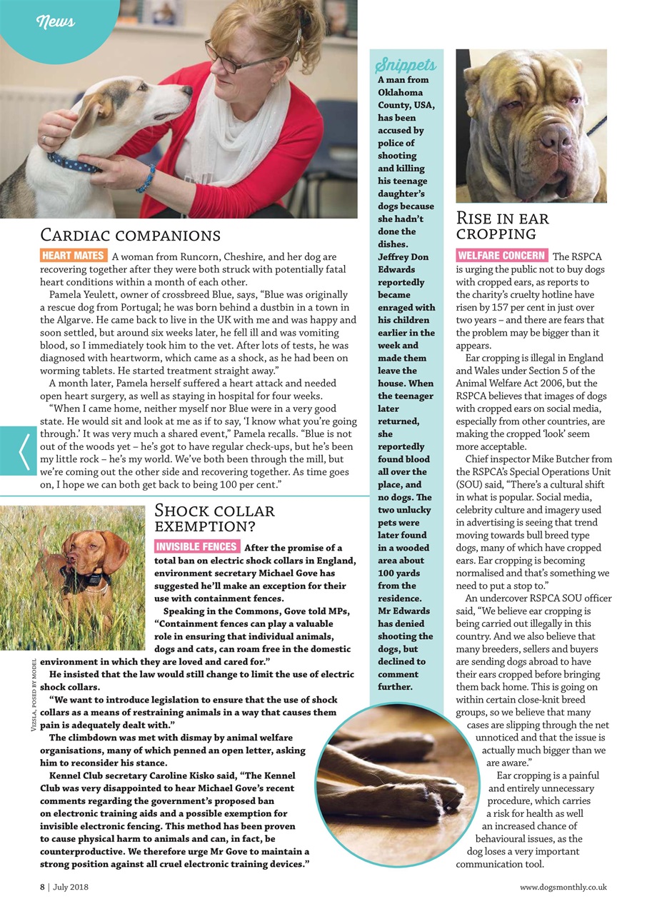 Dogs Monthly Preview Pages