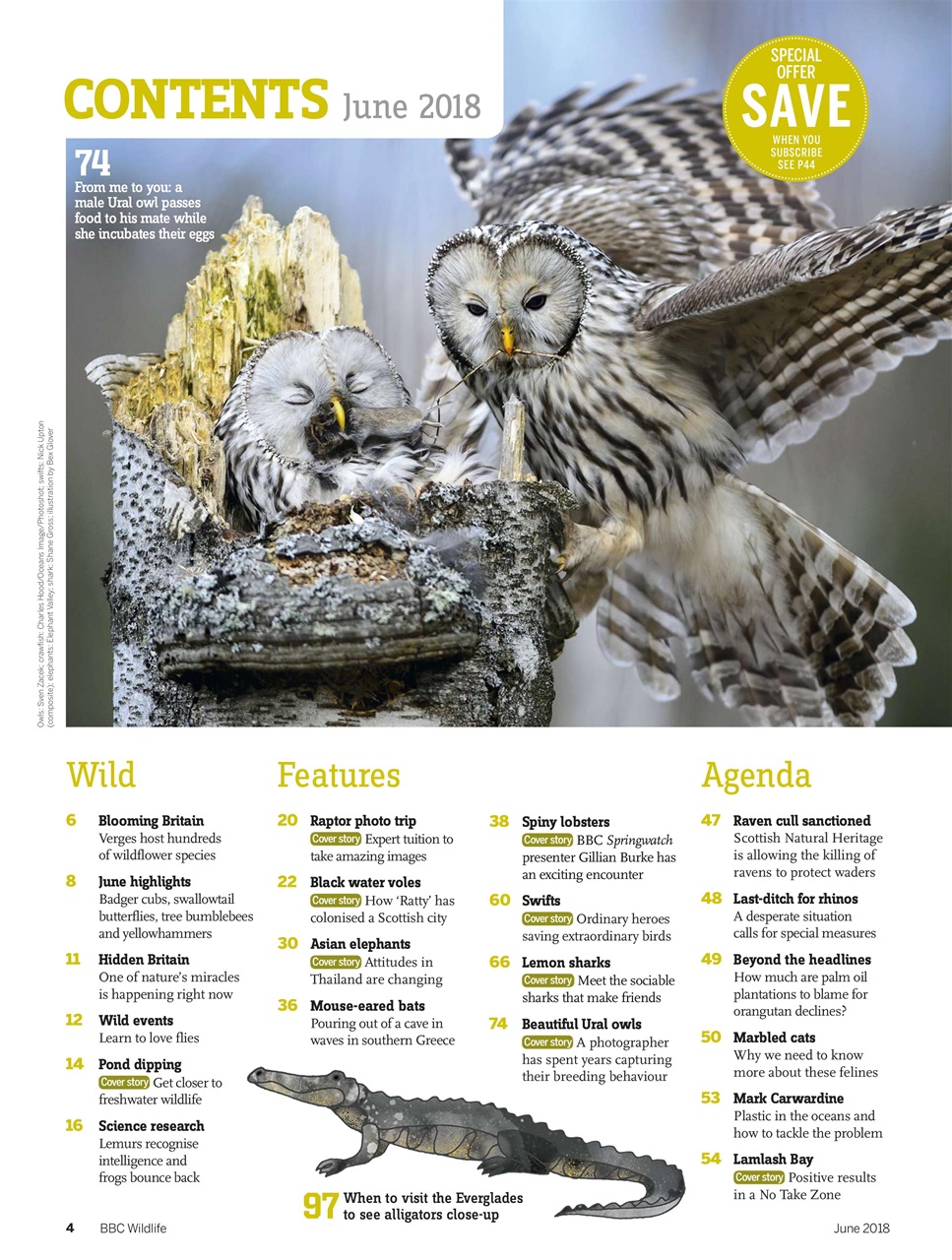 BBC Wildlife Magazine Preview Pages