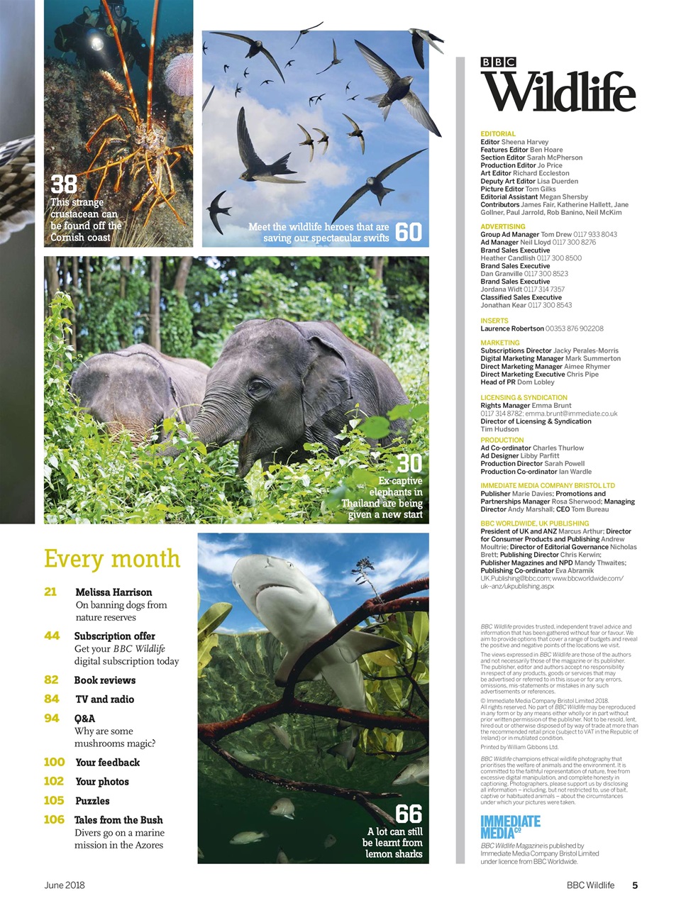 BBC Wildlife Magazine Preview Pages