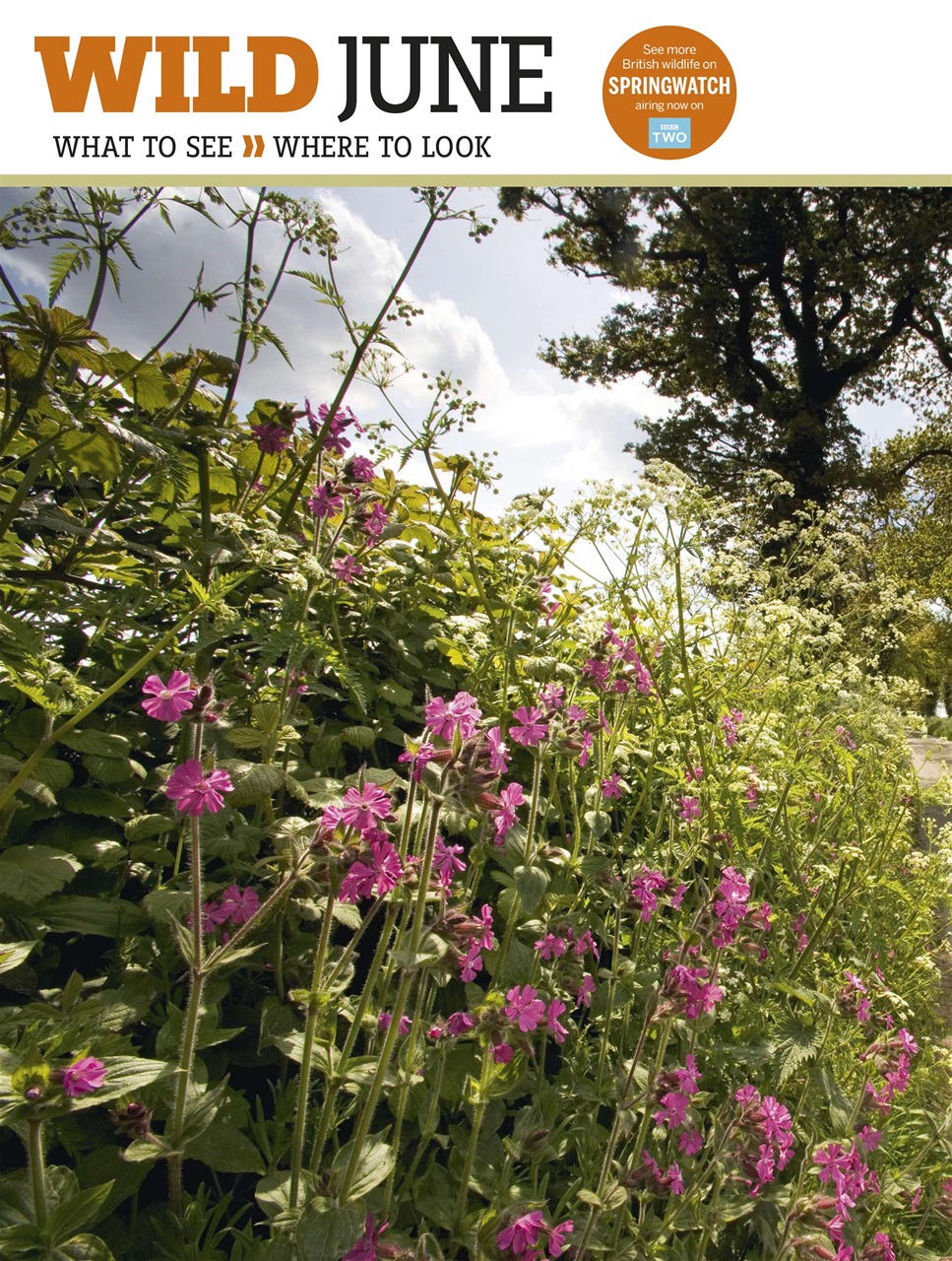 BBC Wildlife Magazine Preview Pages