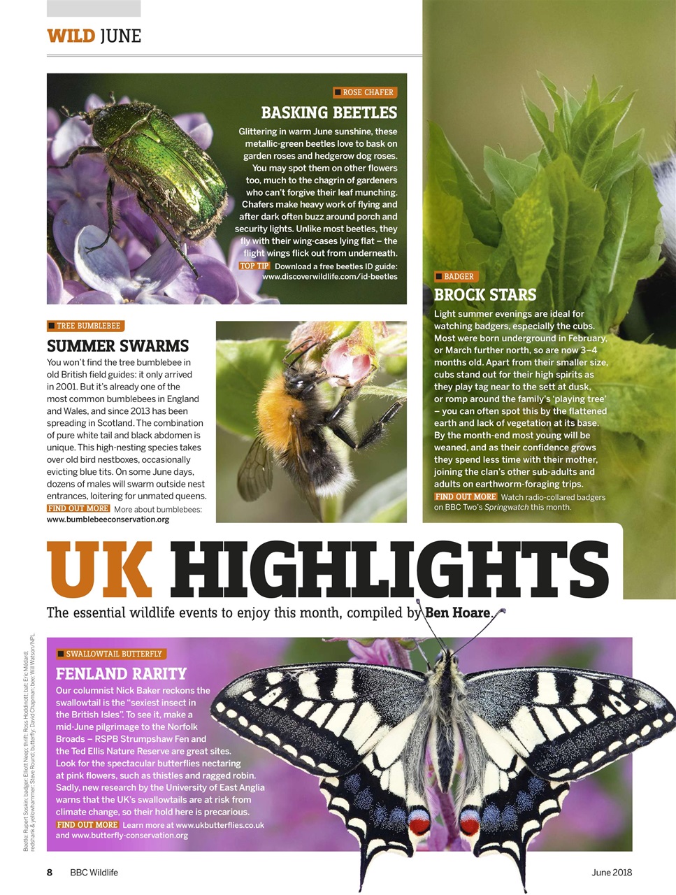BBC Wildlife Magazine Preview Pages