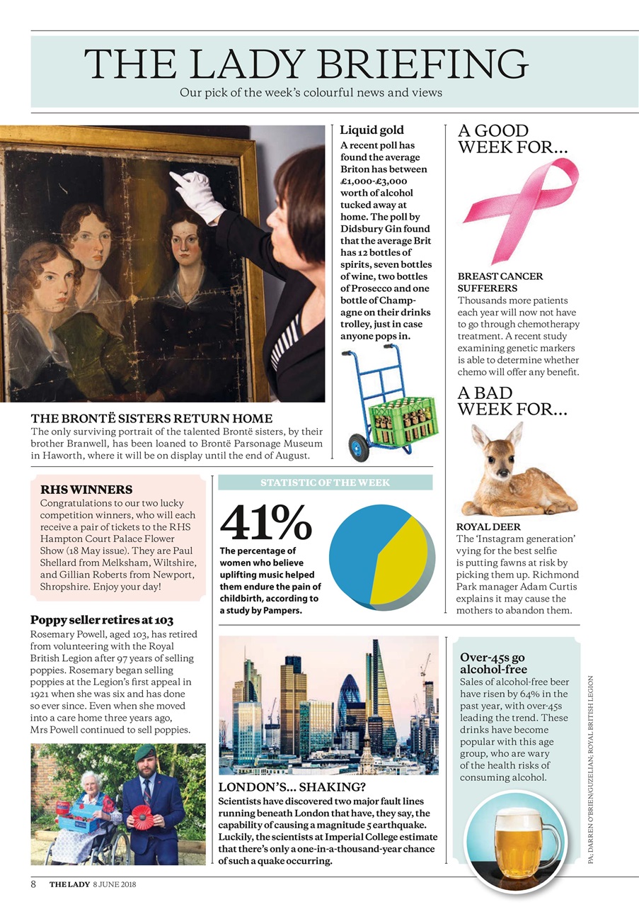 The Lady Preview Pages