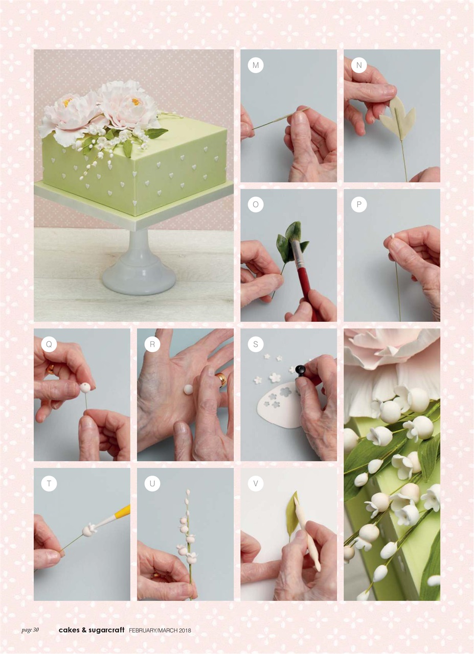 Cakes & Sugarcraft Preview Pages