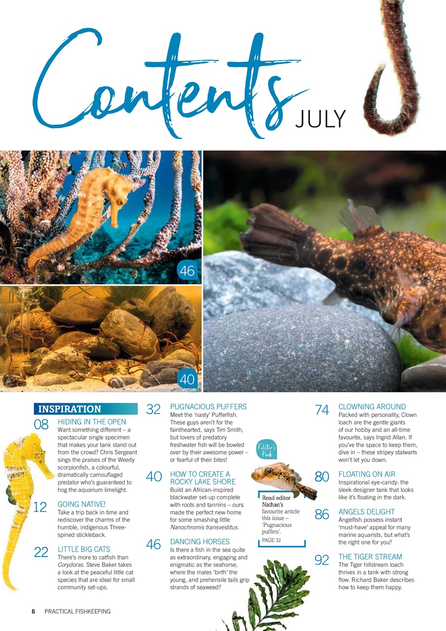 Practical Fishkeeping Preview Pages