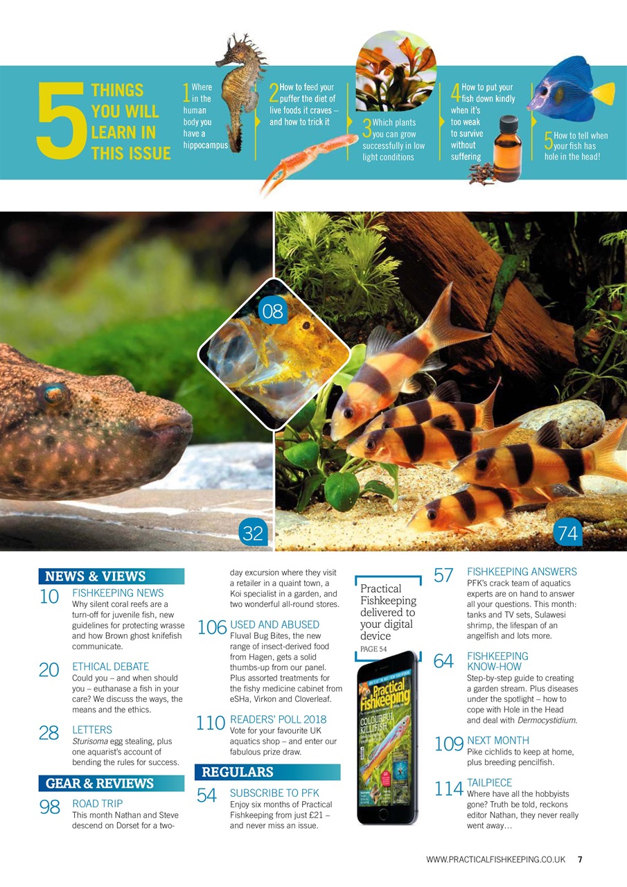 Practical Fishkeeping Preview Pages