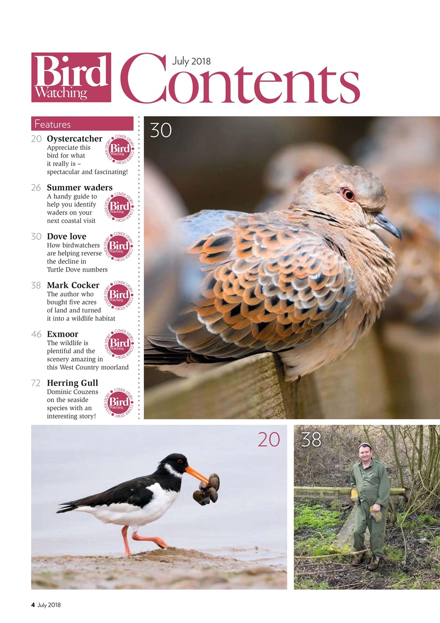 Bird Watching Preview Pages