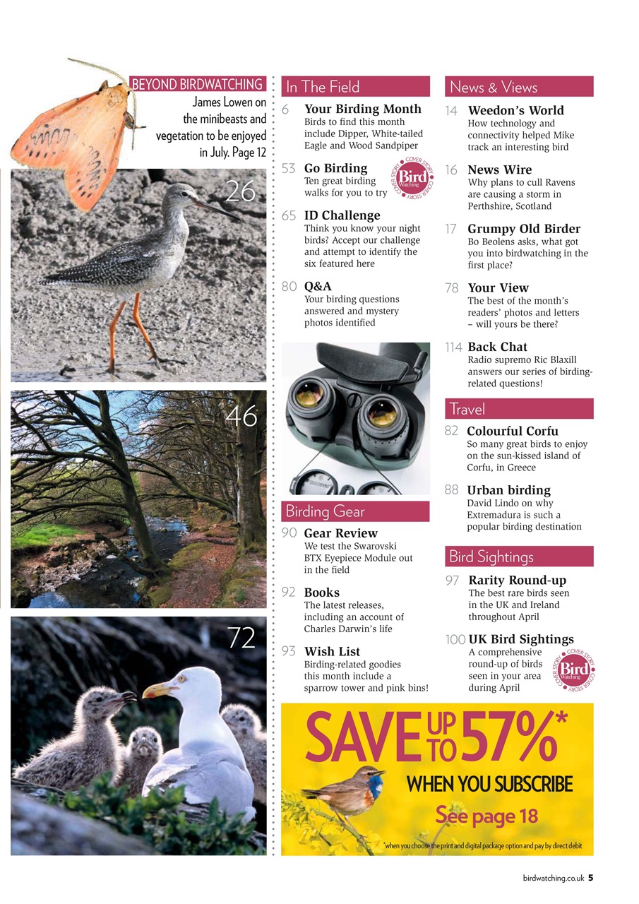 Bird Watching Preview Pages