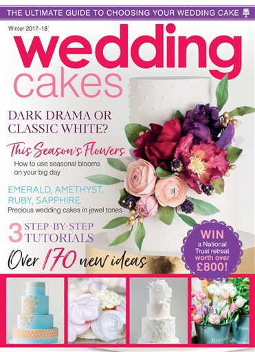 Wedding Cakes issue 