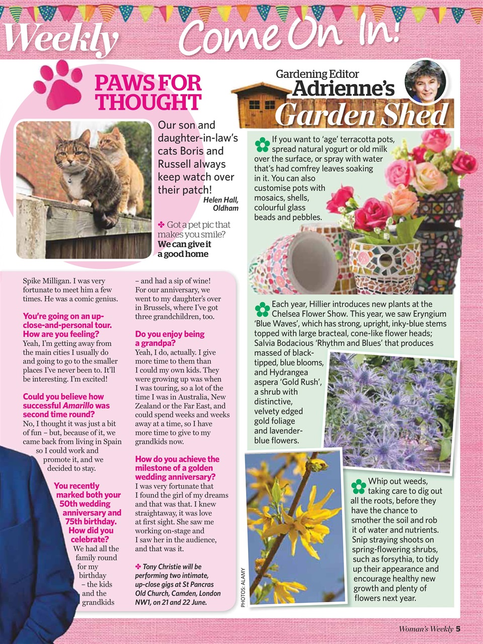 Woman's Weekly Preview Pages