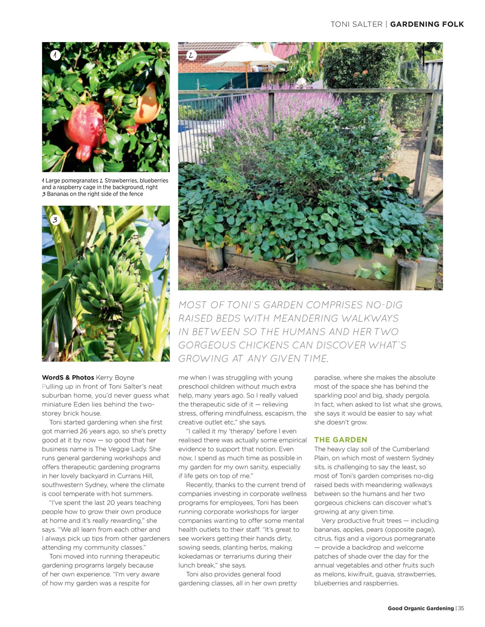 Good Organic Gardening Preview Pages