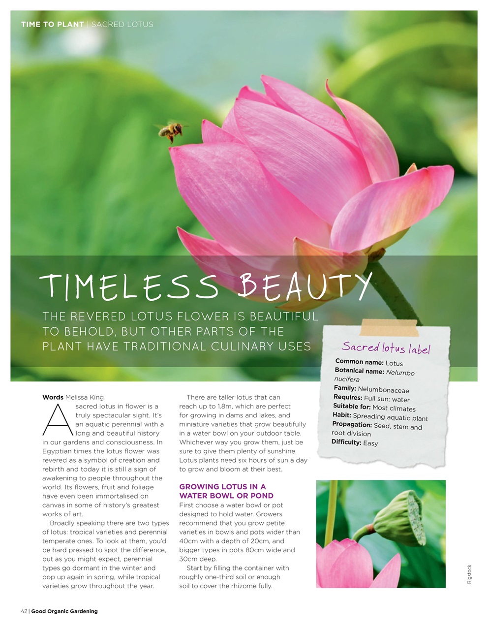 Good Organic Gardening Preview Pages