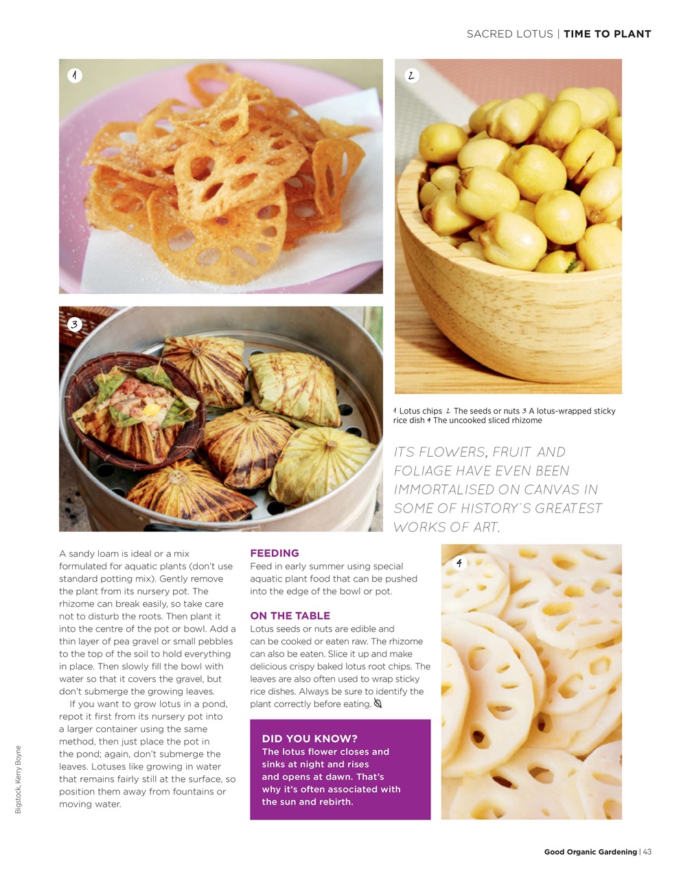 Good Organic Gardening Preview Pages