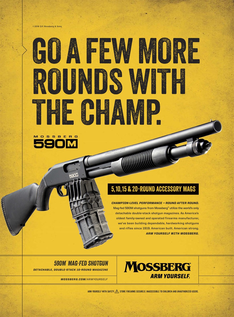 Gun World Preview Pages