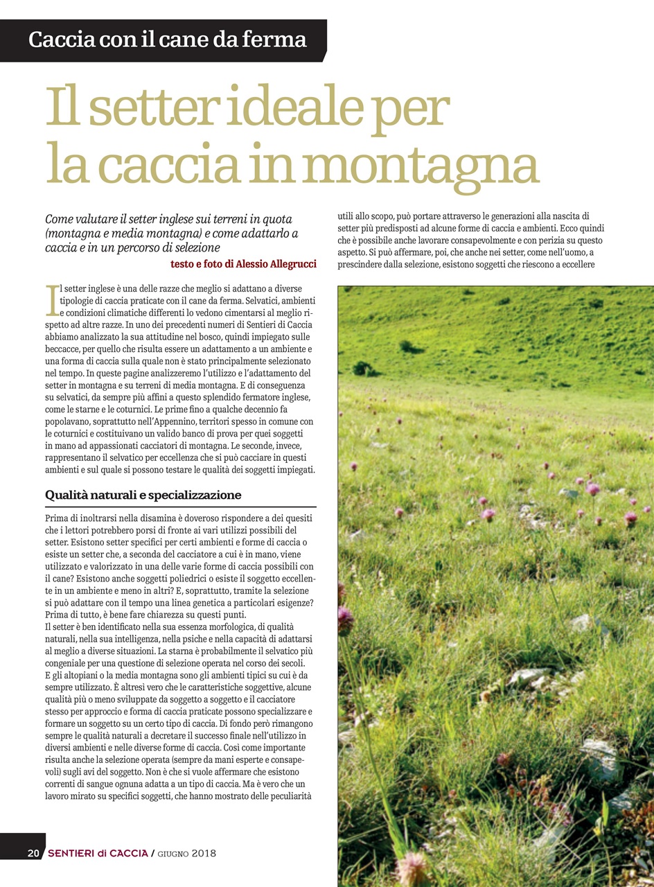 SENTIERI DI CACCIA Preview Pages