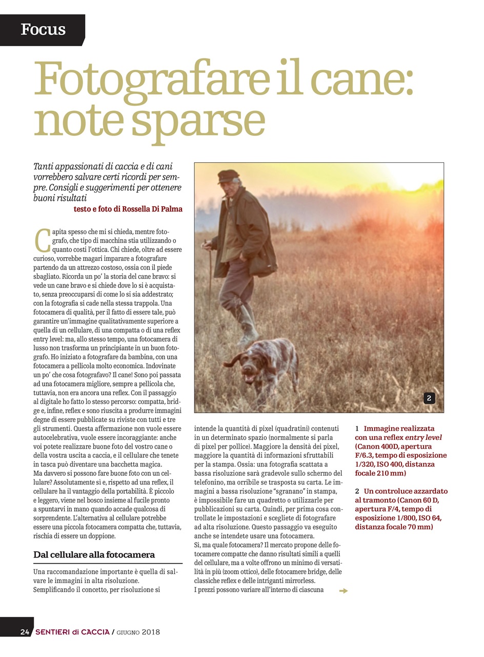 SENTIERI DI CACCIA Preview Pages