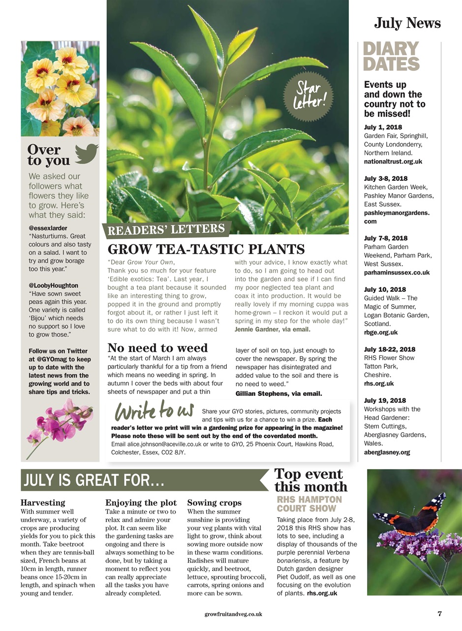 Grow Your Own Preview Pages