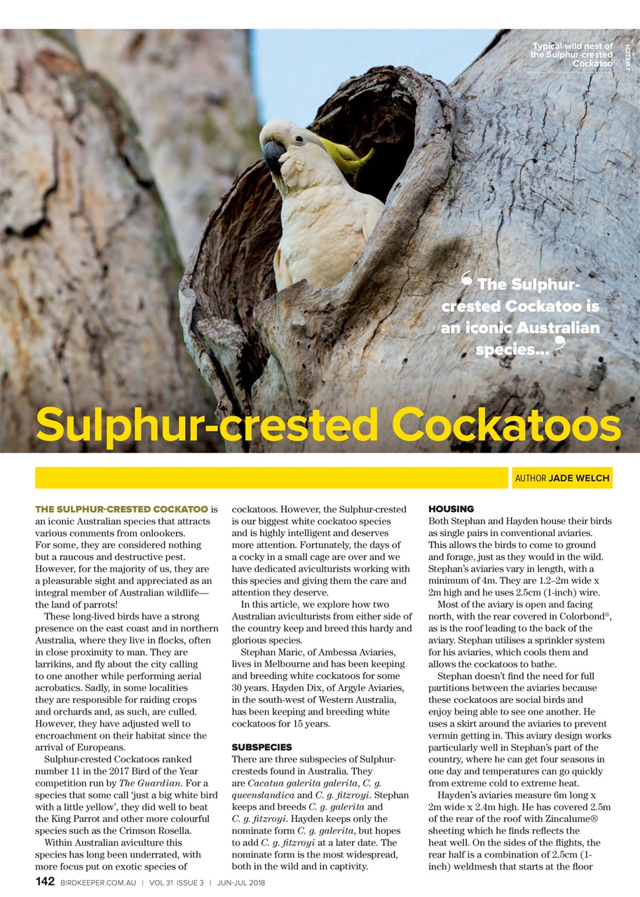 Australian Birdkeeper Magazine Preview Pages