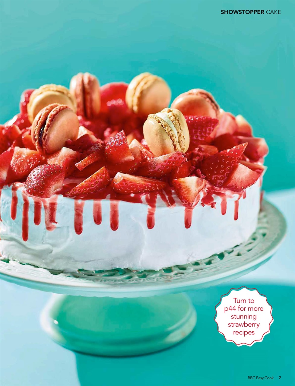 Easy Cook Magazine Preview Pages