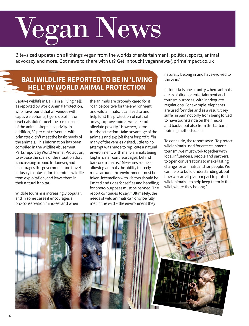 Vegan Life Preview Pages