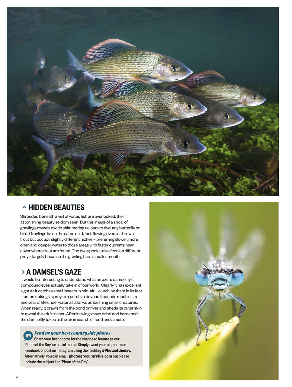 BBC Countryfile Magazine Preview Pages