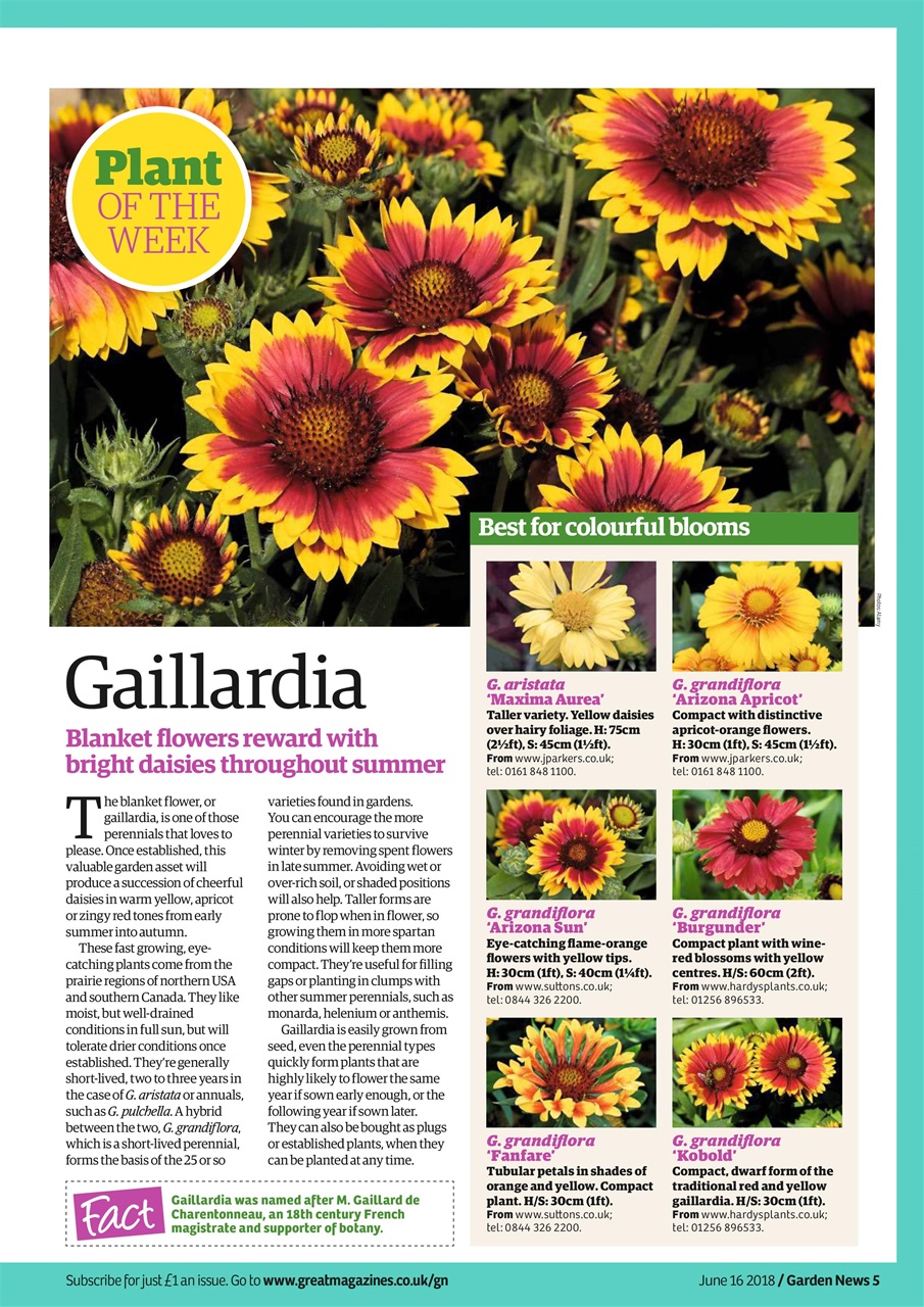 Garden News Preview Pages