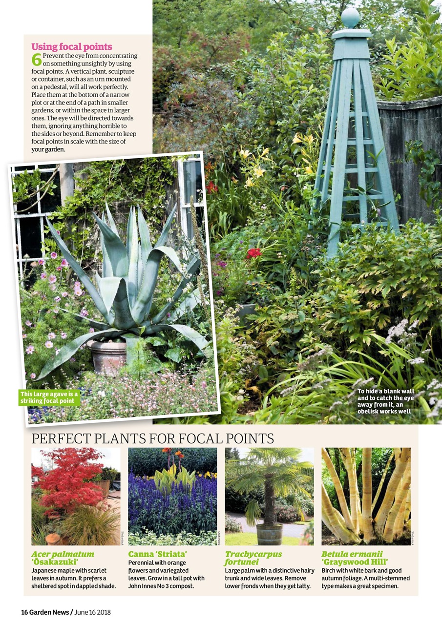 Garden News Preview Pages