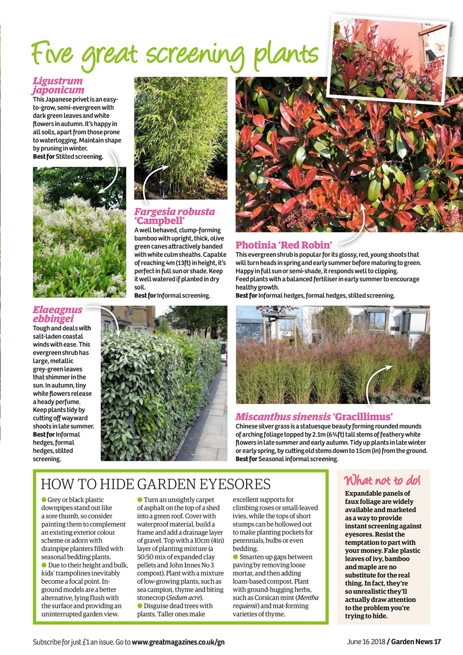Garden News Preview Pages