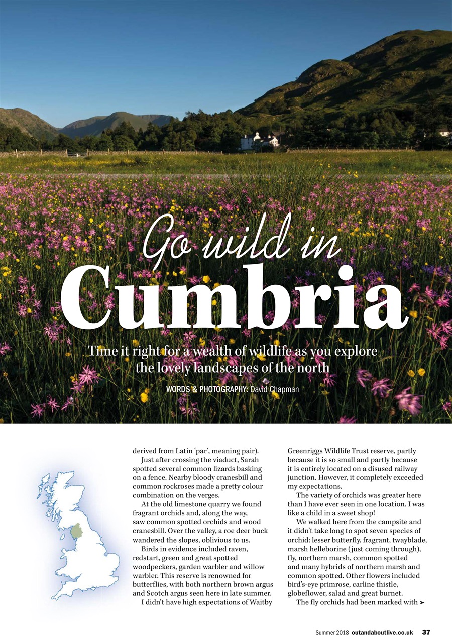 MMM magazine Preview Pages