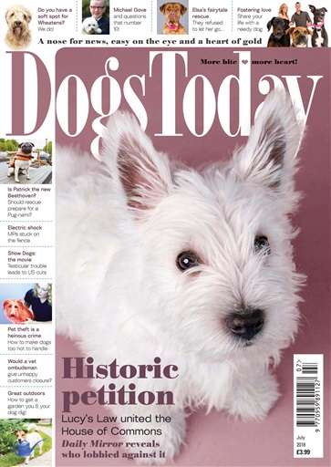 Dogs Today Magazine issue 