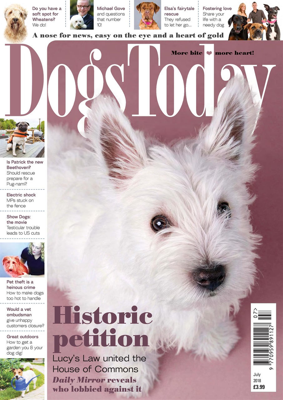 Dogs Today Magazine Preview Pages