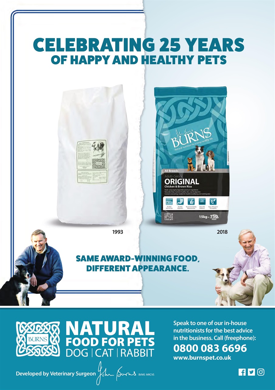 Dogs Today Magazine Preview Pages