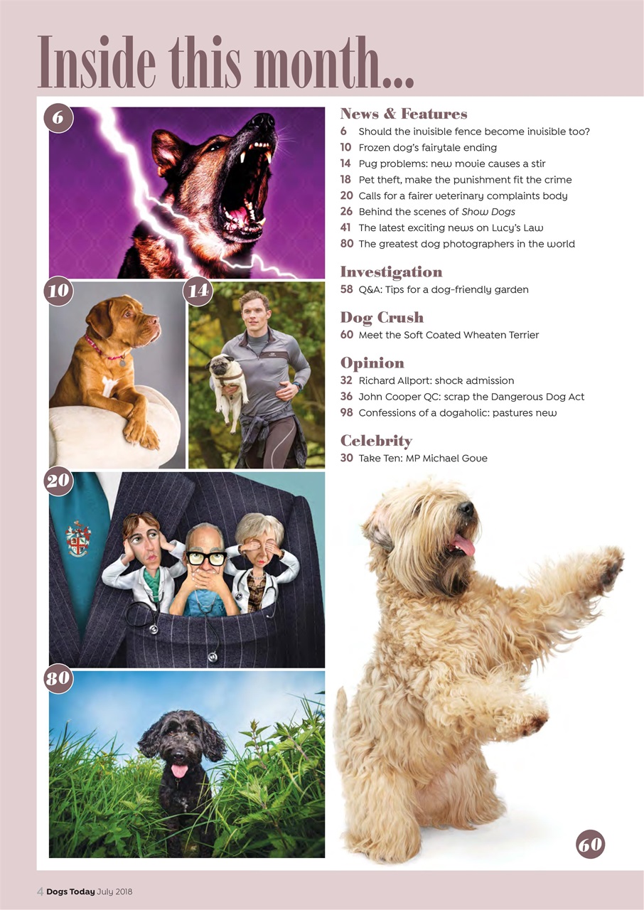 Dogs Today Magazine Preview Pages