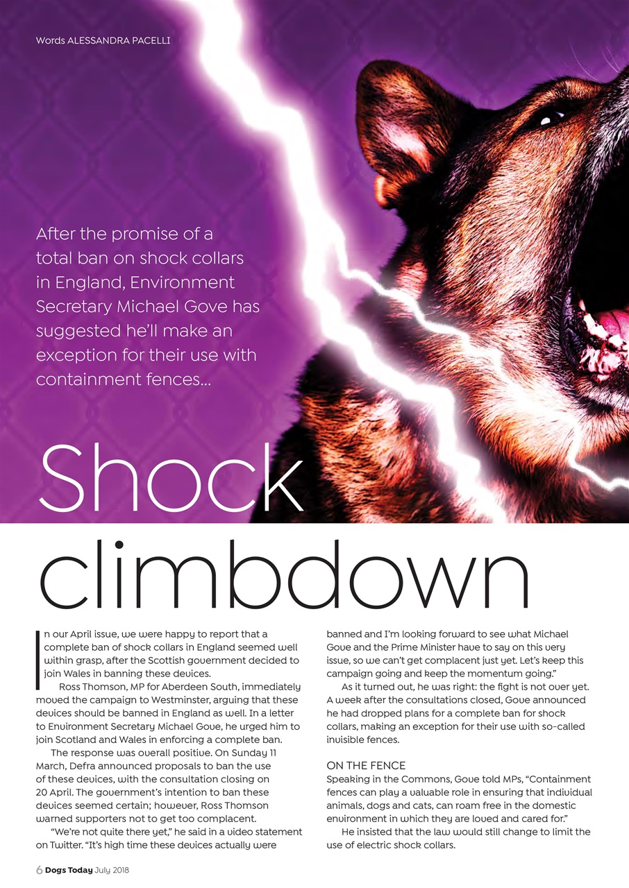 Dogs Today Magazine Preview Pages