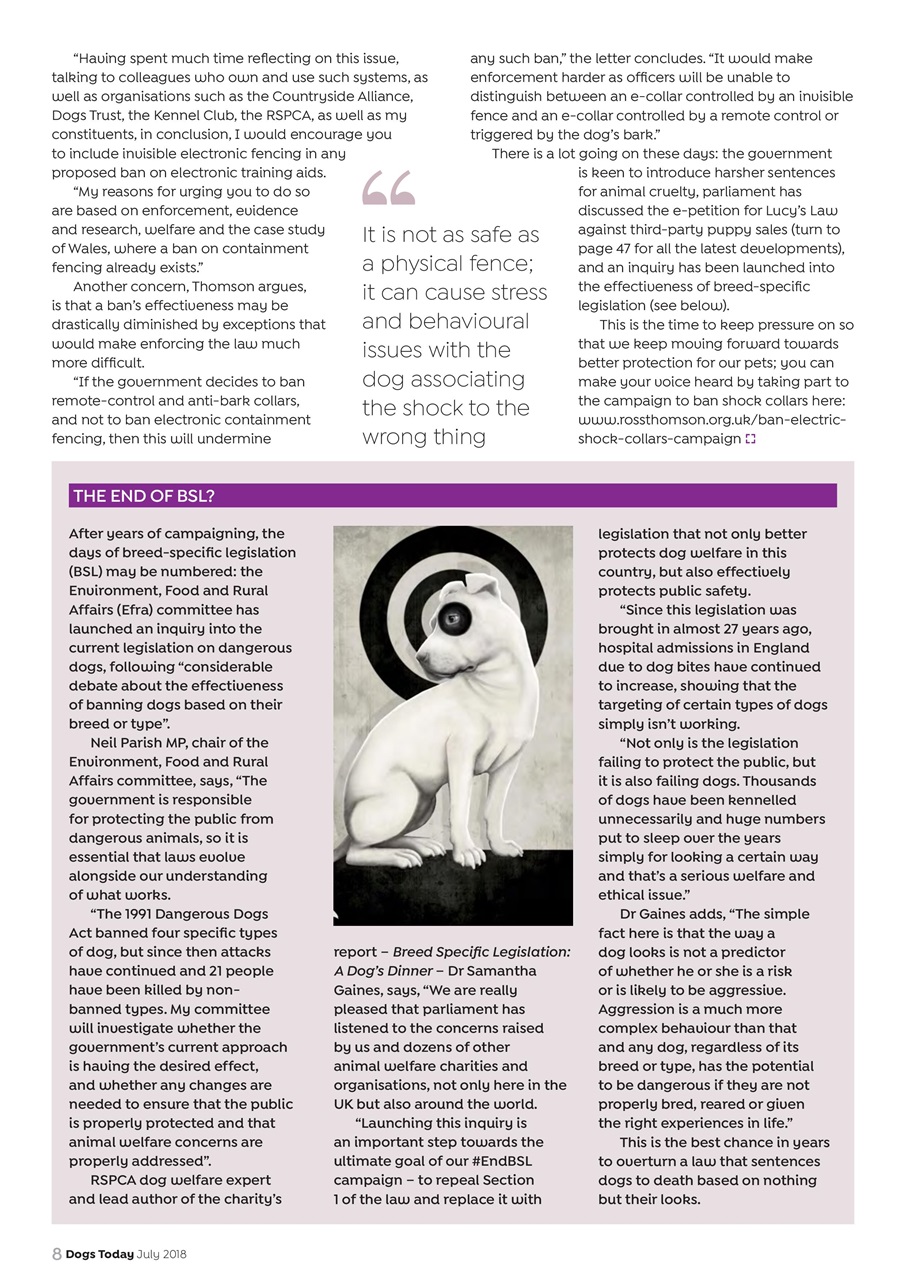 Dogs Today Magazine Preview Pages
