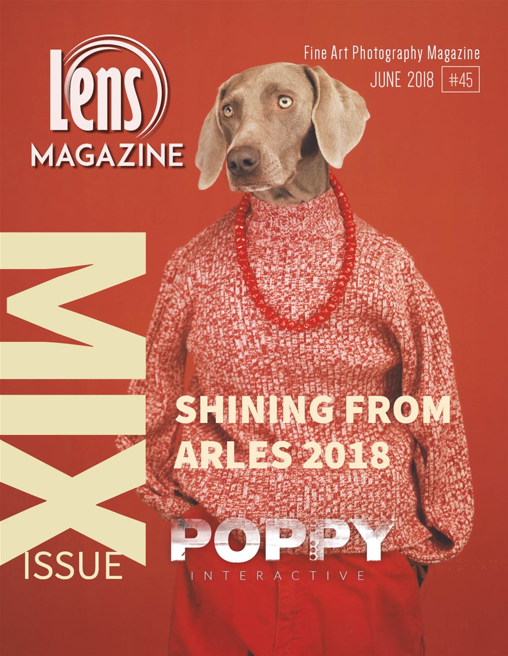 Lens Magazine Preview Pages