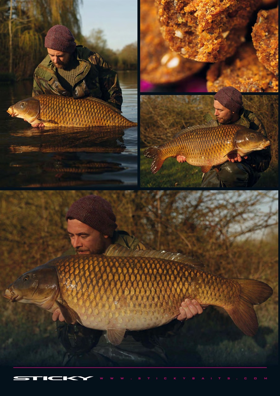 Total Carp Preview Pages