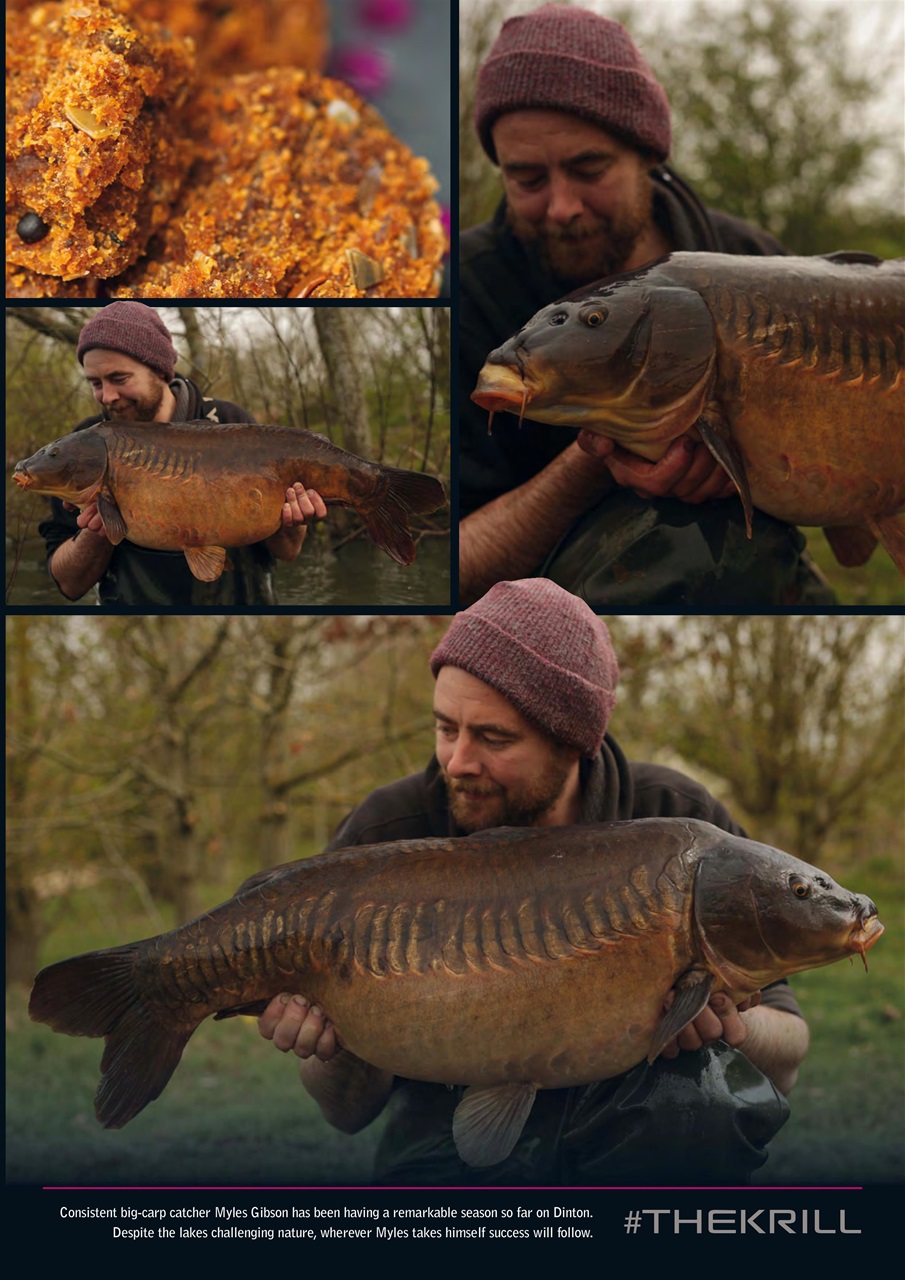 Total Carp Preview Pages